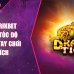 Rồng Hổ RIKBET